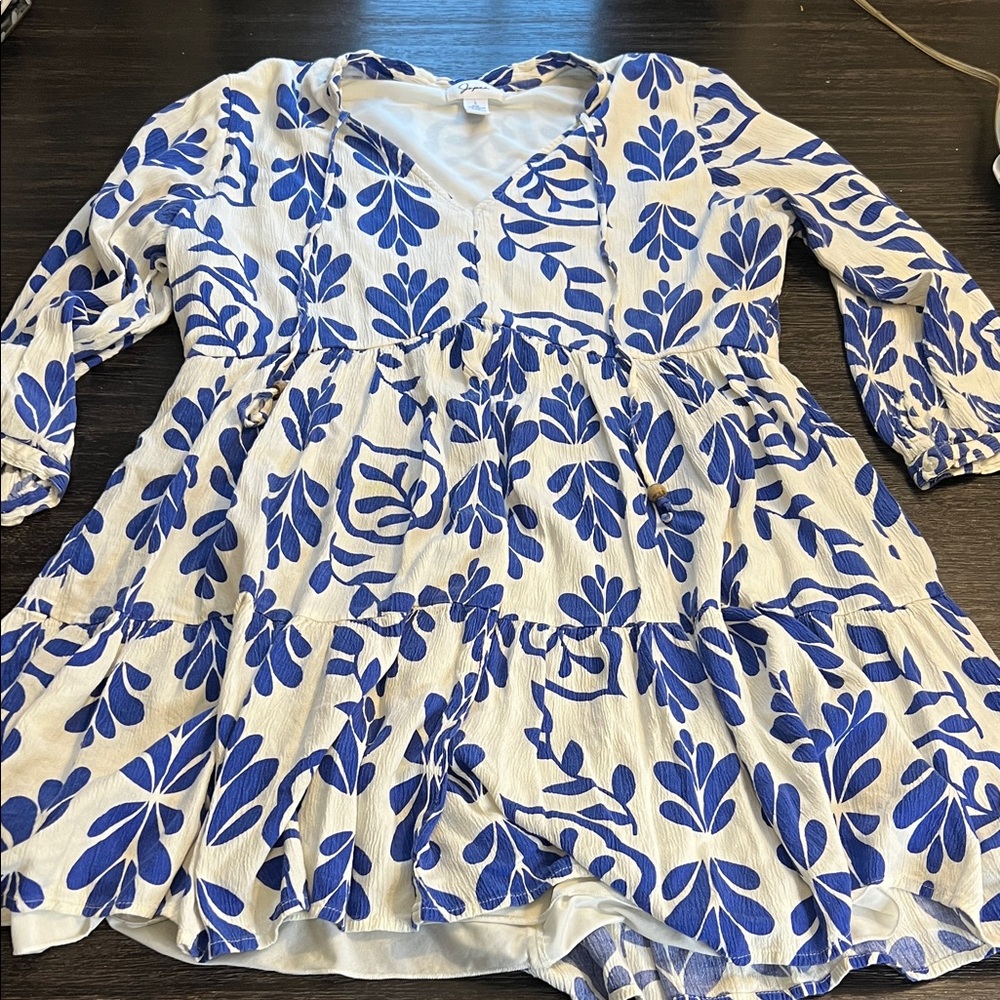 Japna Blue and White Patterned Dress